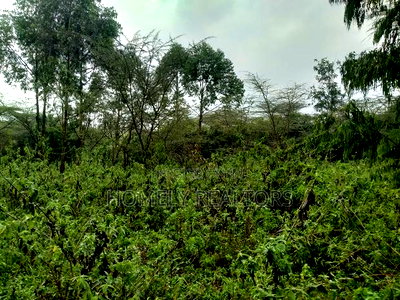 Quarter Acre Plot in Ongata Rongai, Acacia Along Merisho Rd - Image 1