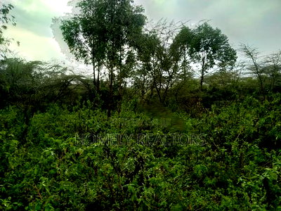 Quarter Acre Plot in Ongata Rongai, Acacia Along Merisho Rd - Image 3