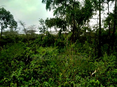 Quarter Acre Plot in Ongata Rongai, Acacia Along Merisho Rd - Image 2
