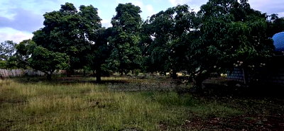 Makuyu 24 Acres for Sale. - Image 7