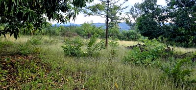 Makuyu 24 Acres for Sale. - Image 4