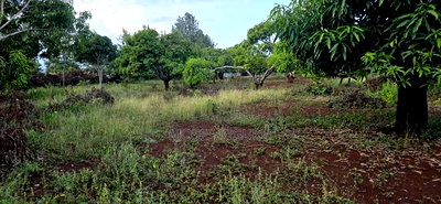 Makuyu 24 Acres for Sale. - Image 5