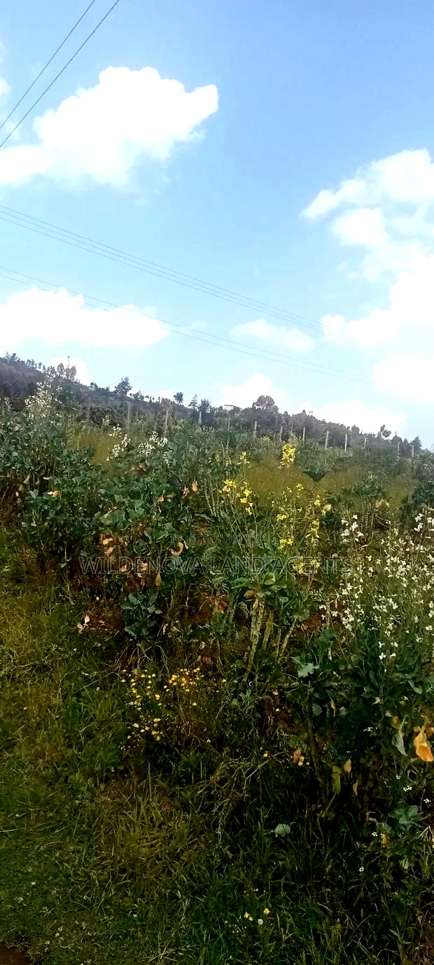 Land on Sale at View Point Flyover Nakuru County