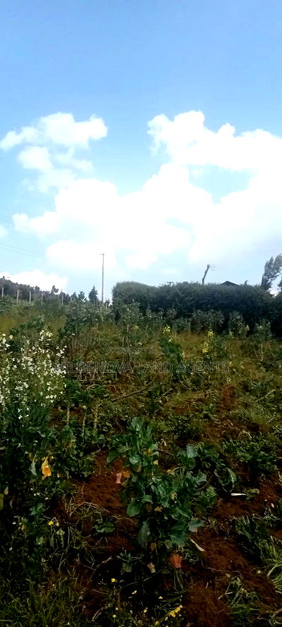 Land on Sale at View Point Flyover Nakuru County - Image 3