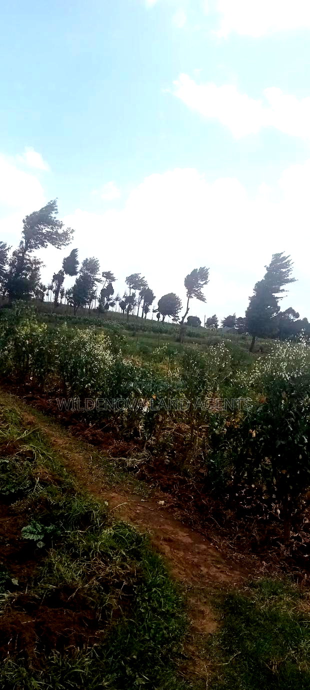 Land on Sale at View Point Flyover Nakuru County