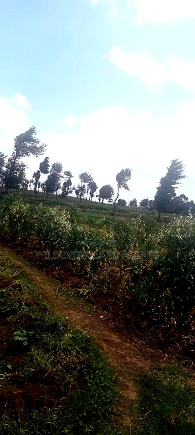 Land on Sale at View Point Flyover Nakuru County - Image 5