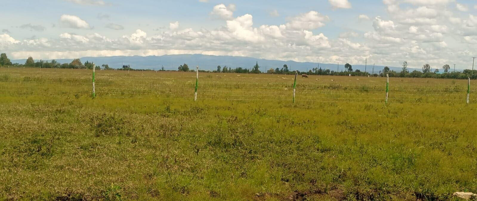 1/8 Acre Plot in Sweetwaters for KSh 550K