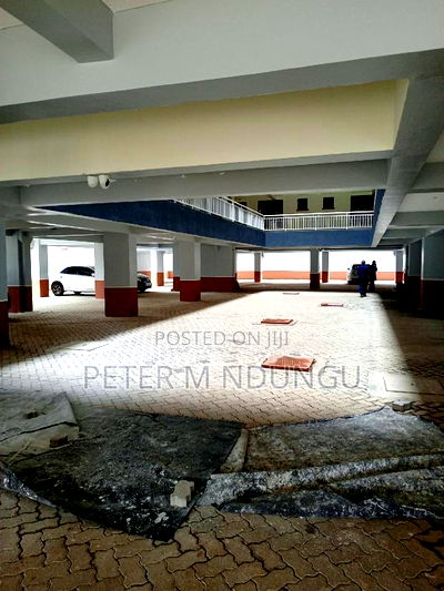 1bdrm Block of Flats in Thindigua for rent - Image 8