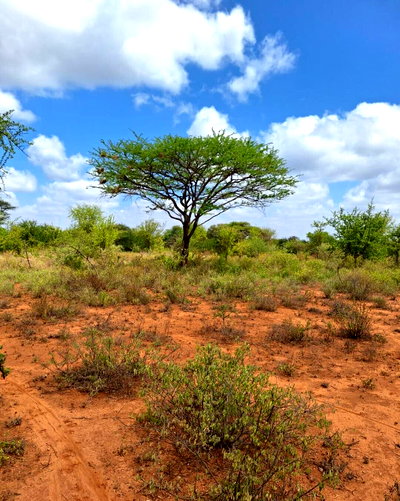 10-Acre Plot with Garden for KSh 600K