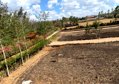 50x100 Plot with Garden in Kiserian