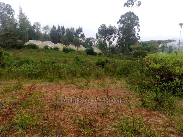 Ngong, Matasia Memusi Road-Eigth Acre Quarter Acre