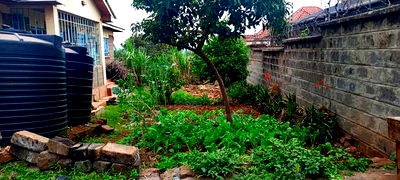 4bdrm Bungalow in Thome for sale - Image 6