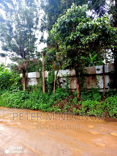 Prime Commercial 1/4 Acre Kiamumbi - Image 7