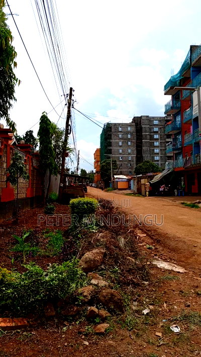 Prime Commercial 1/4 Acre Kiamumbi - Image 2