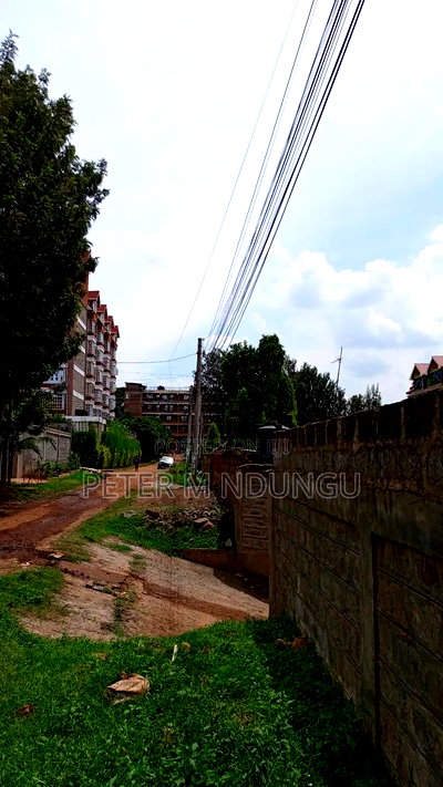 Prime Commercial 1/4 Acre Kiamumbi - Image 5