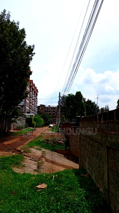 Prime Commercial 1/4 Acre Kiamumbi - Image 9