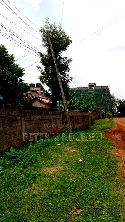 Prime Commercial 1/4 Acre Kiamumbi - Image 14