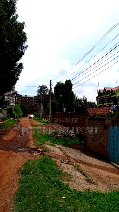 Prime Commercial 1/4 Acre Kiamumbi - Image 13