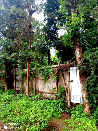 Prime Commercial 1/4 Acre Kiamumbi - Image 3