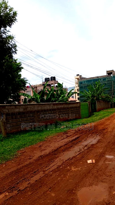 Prime Commercial 1/4 Acre Kiamumbi - Image 10