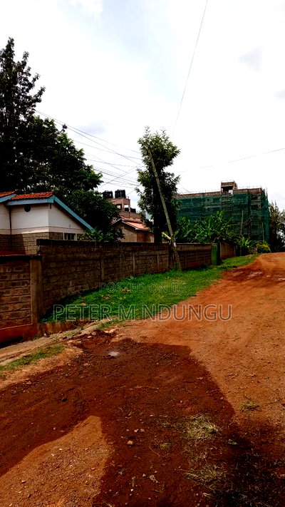 Prime Commercial 1/4 Acre Kiamumbi - Image 4