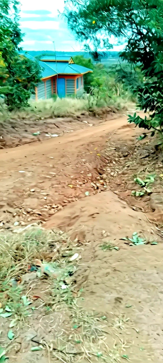 50 by 100 Plot at Kamweli Area Few Minutes From Makutano