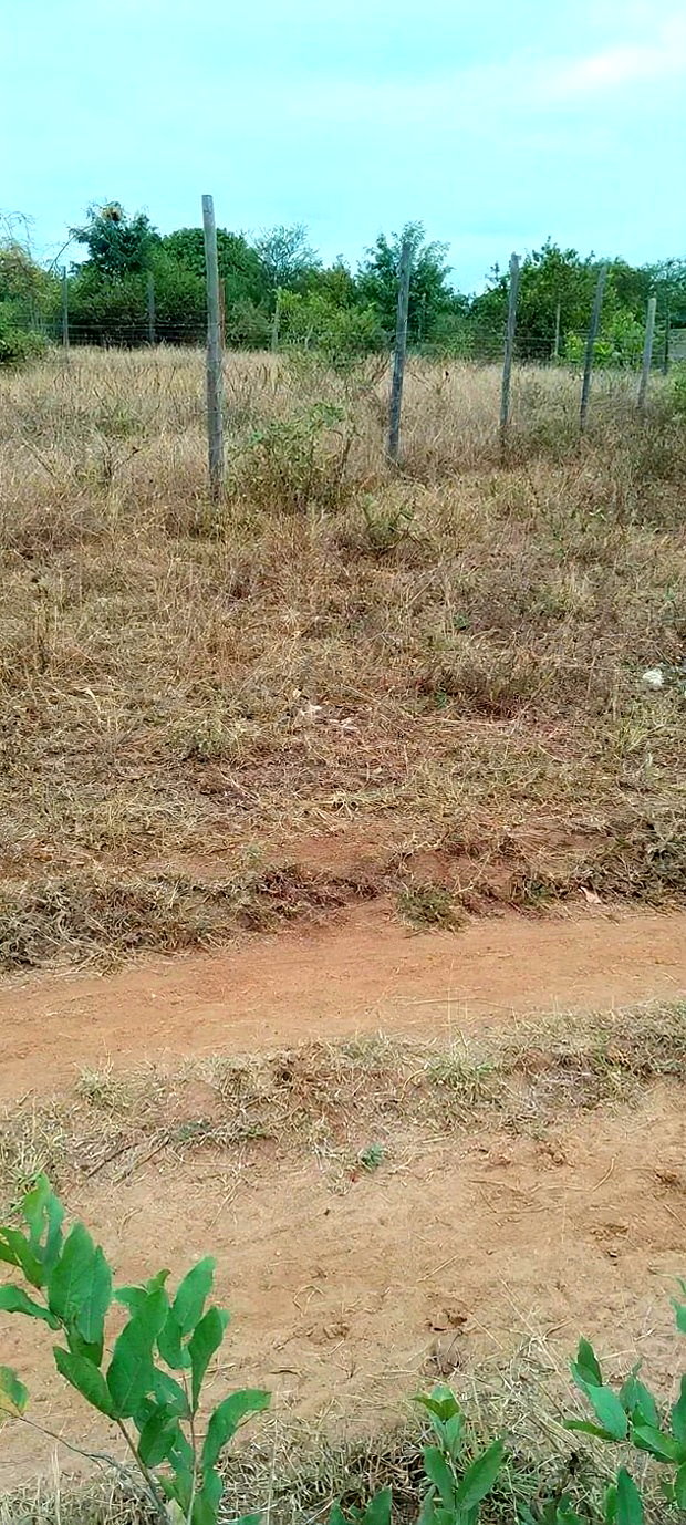50 by 100 Plot at Kamweli Area Few Minutes From Makutano
