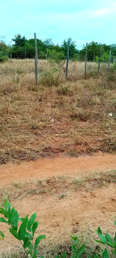 50 by 100 Plot at Kamweli Area Few Minutes From Makutano - Image 4