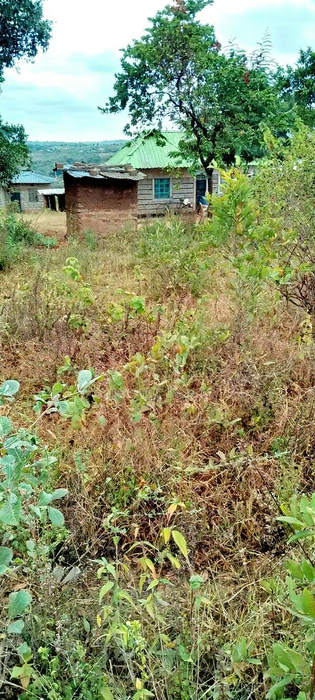 50 by 100 Plot at Kamweli Area Few Minutes From Makutano