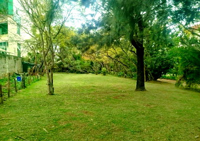 0.16 Acre Plot with Garden - Kilimani