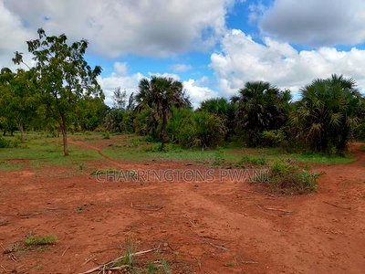 2-Acre Plot - Sunset Road, Diani (Behind Almanara B) - Image 5