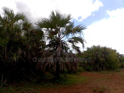 2-Acre Plot - Sunset Road, Diani (Behind Almanara B) - Image 1