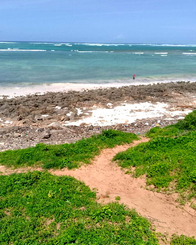 1 Acre Pet Friendly Plot in Kilifi