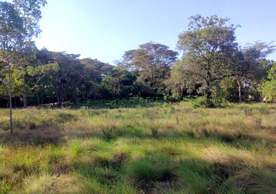 1 Acre Gated Community Plot in Karen