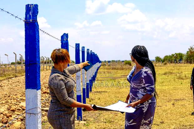 1/8 Acre Plots for Sale in Ruiru-Kamakis