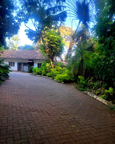 1.2-Acre Lavington Plot for KSh 300M
