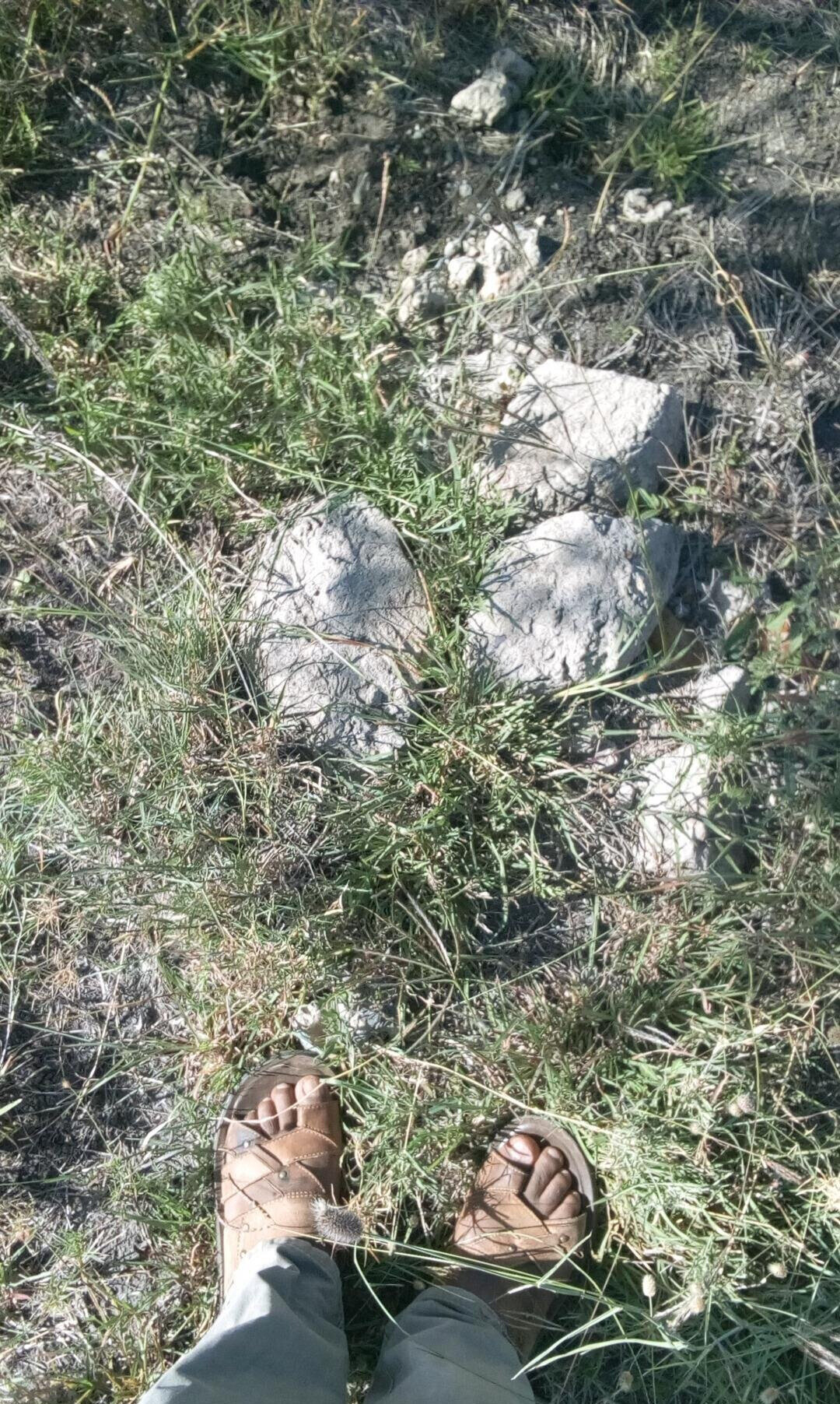 50x100 Plot with Garden for KSh 4.5M