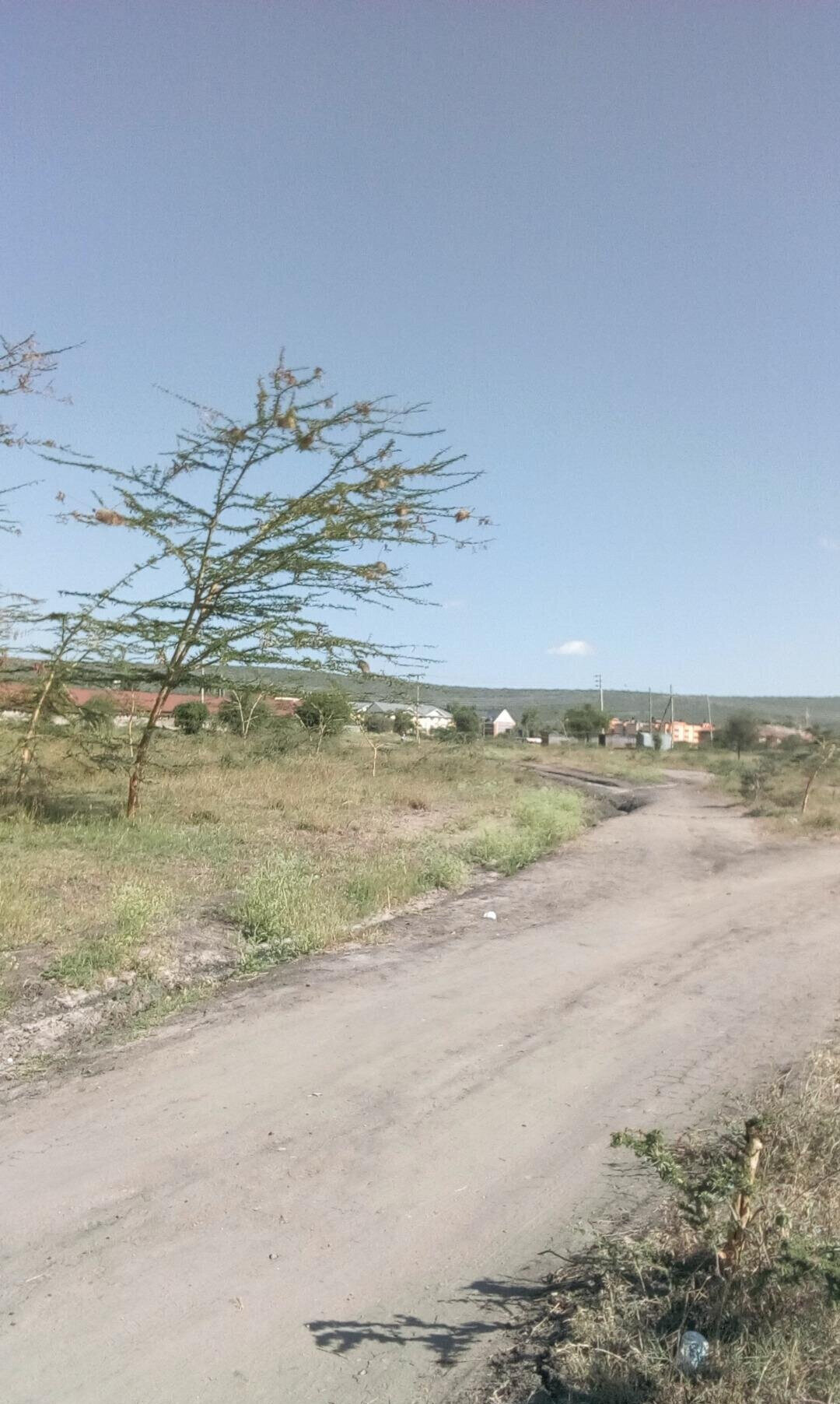 50x100 Plot with Garden for KSh 4.5M