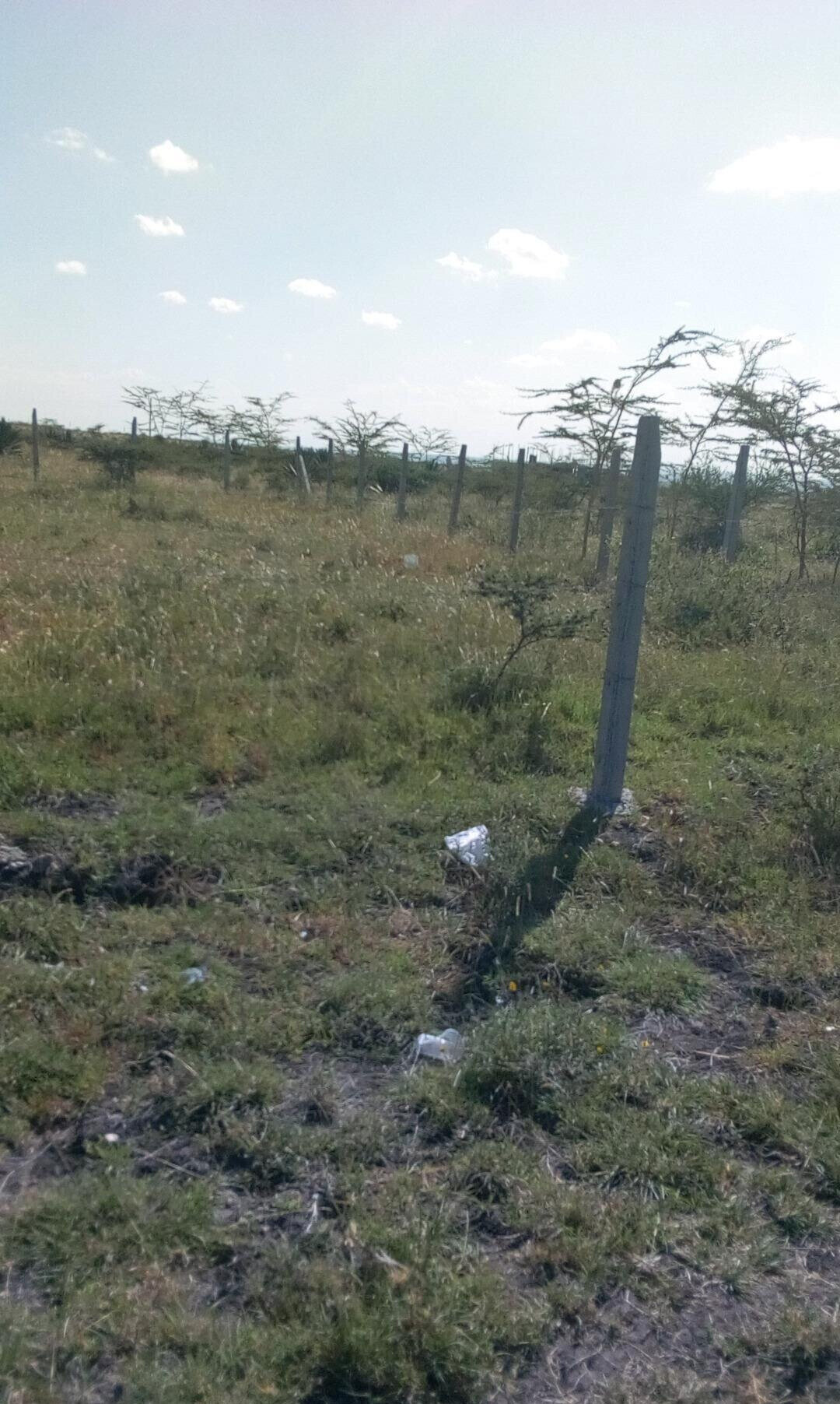 50x100 Plot with Garden for KSh 4.5M
