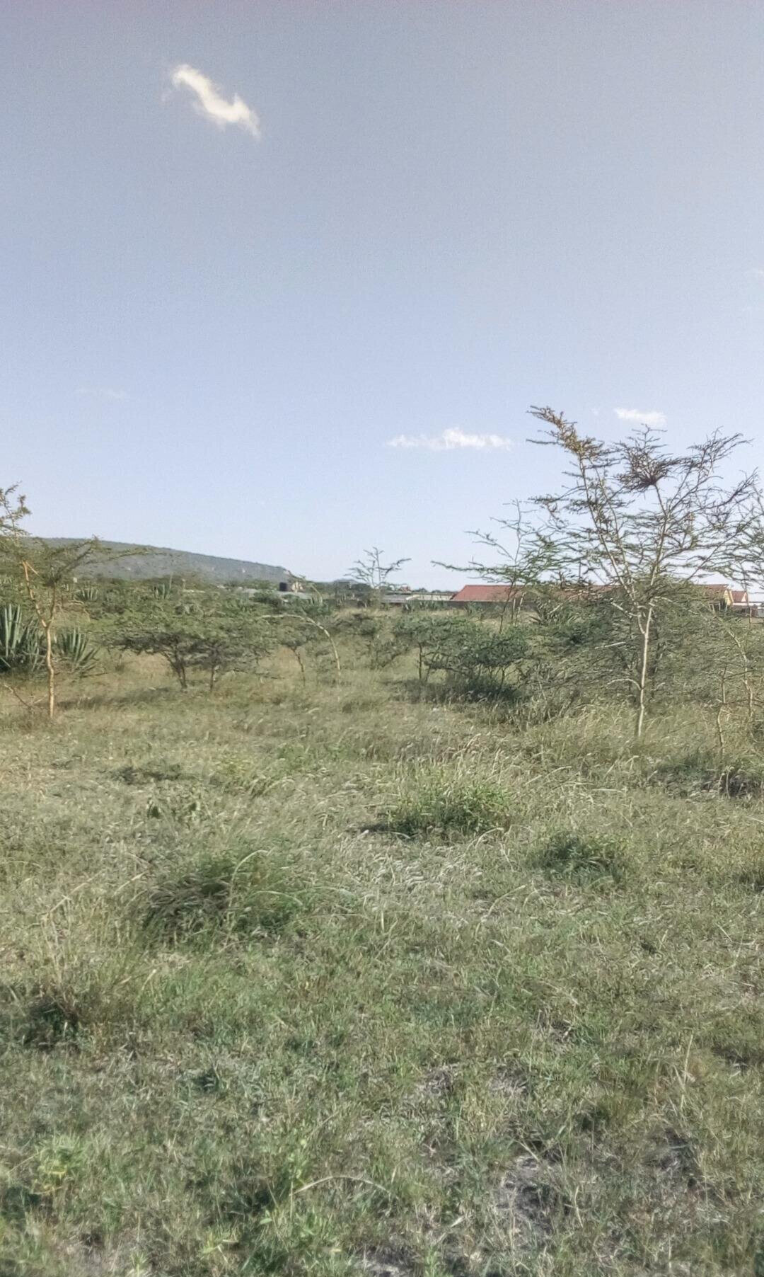 50x100 Plot with Garden for KSh 4.5M