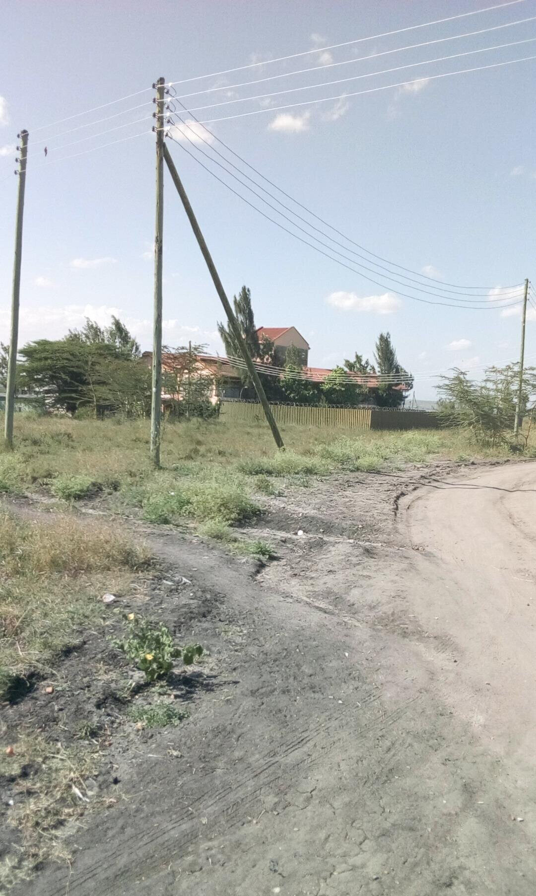 50x100 Plot with Garden for KSh 4.5M