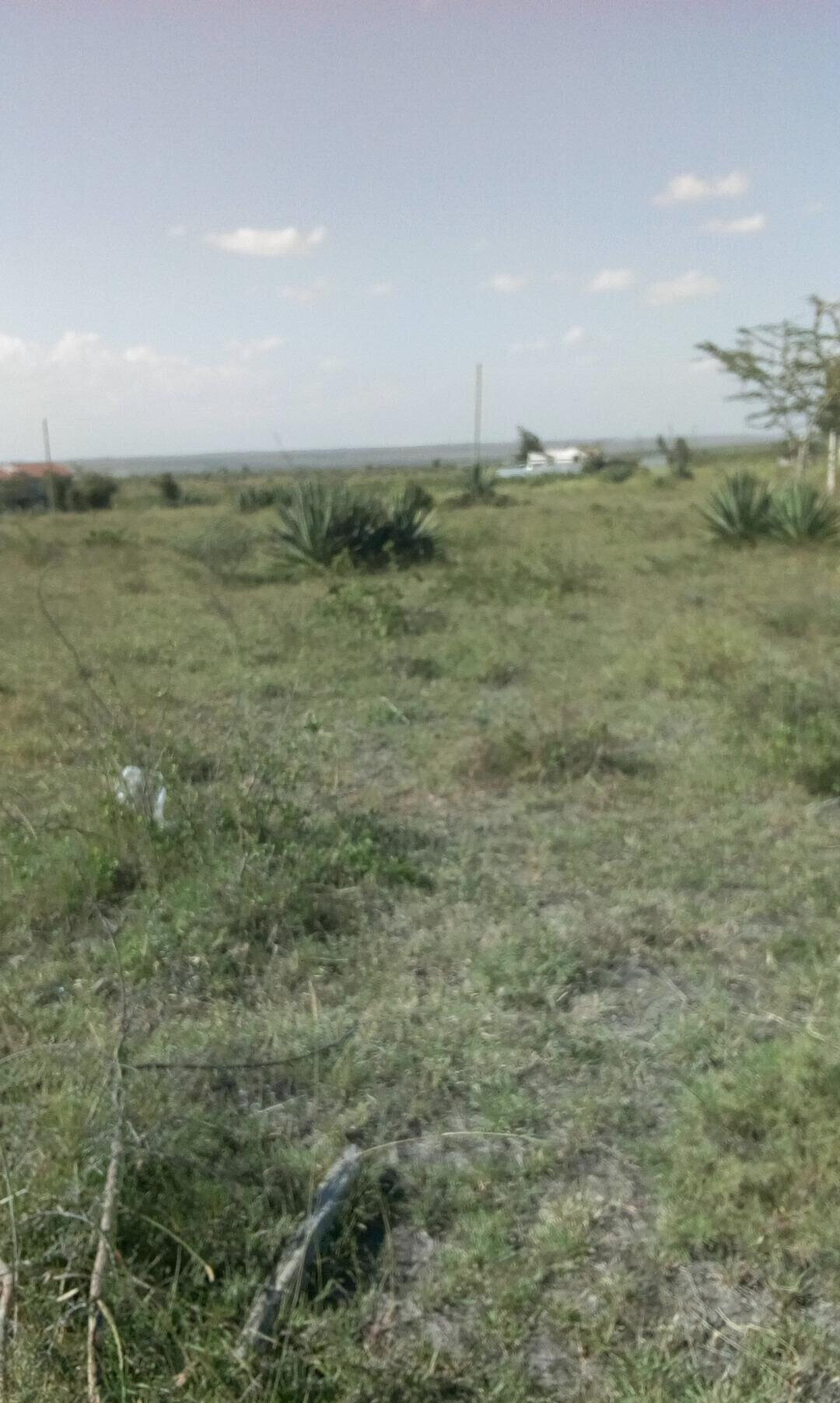 50x100 Plot with Garden for KSh 4.5M
