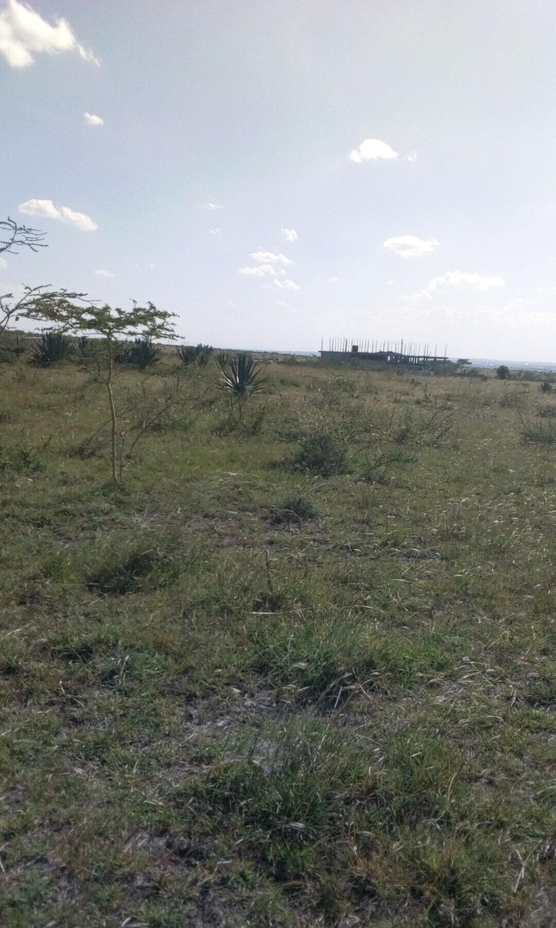 50x100 Plot with Garden for KSh 4.5M
