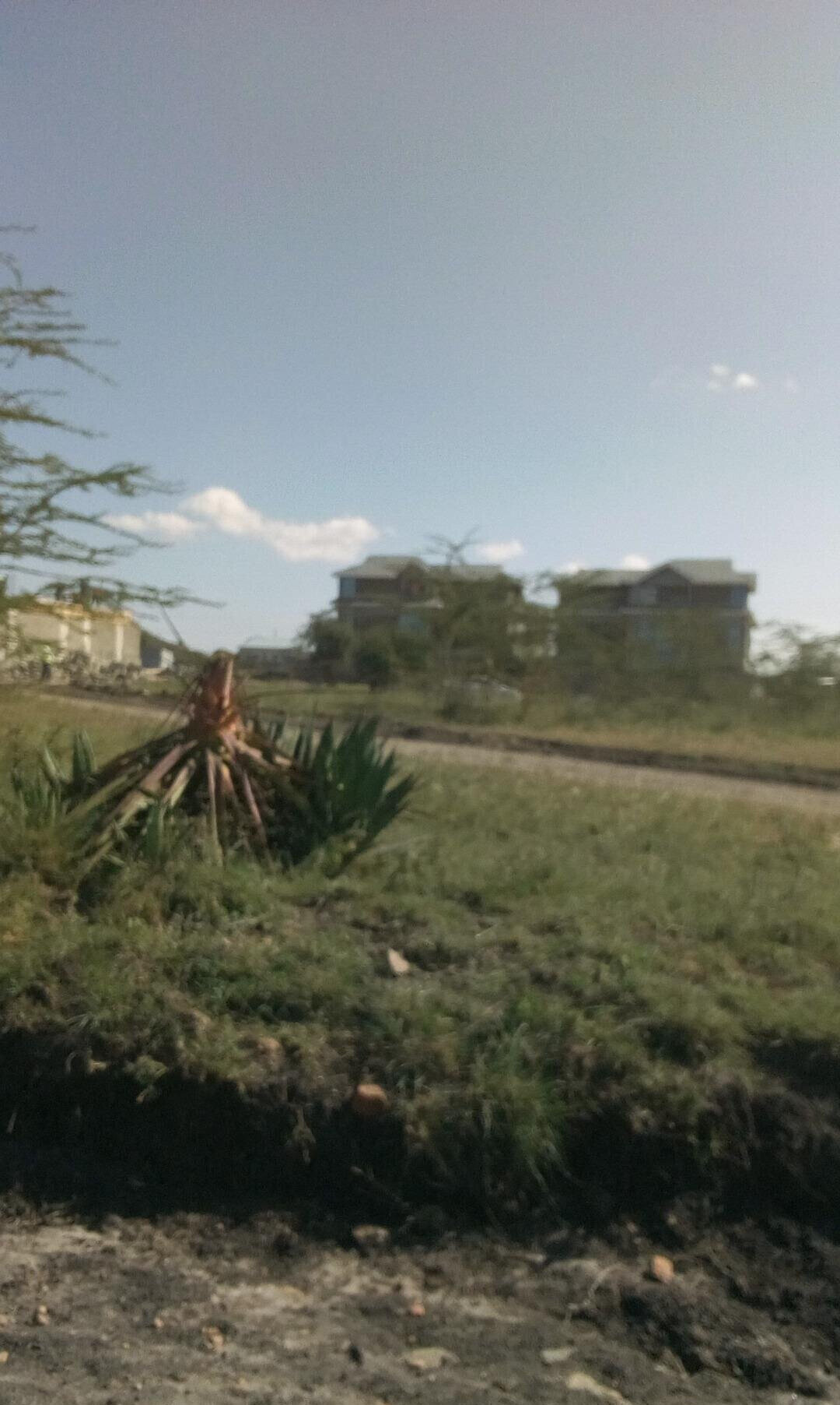 50x100 Plot with Garden for KSh 4.5M