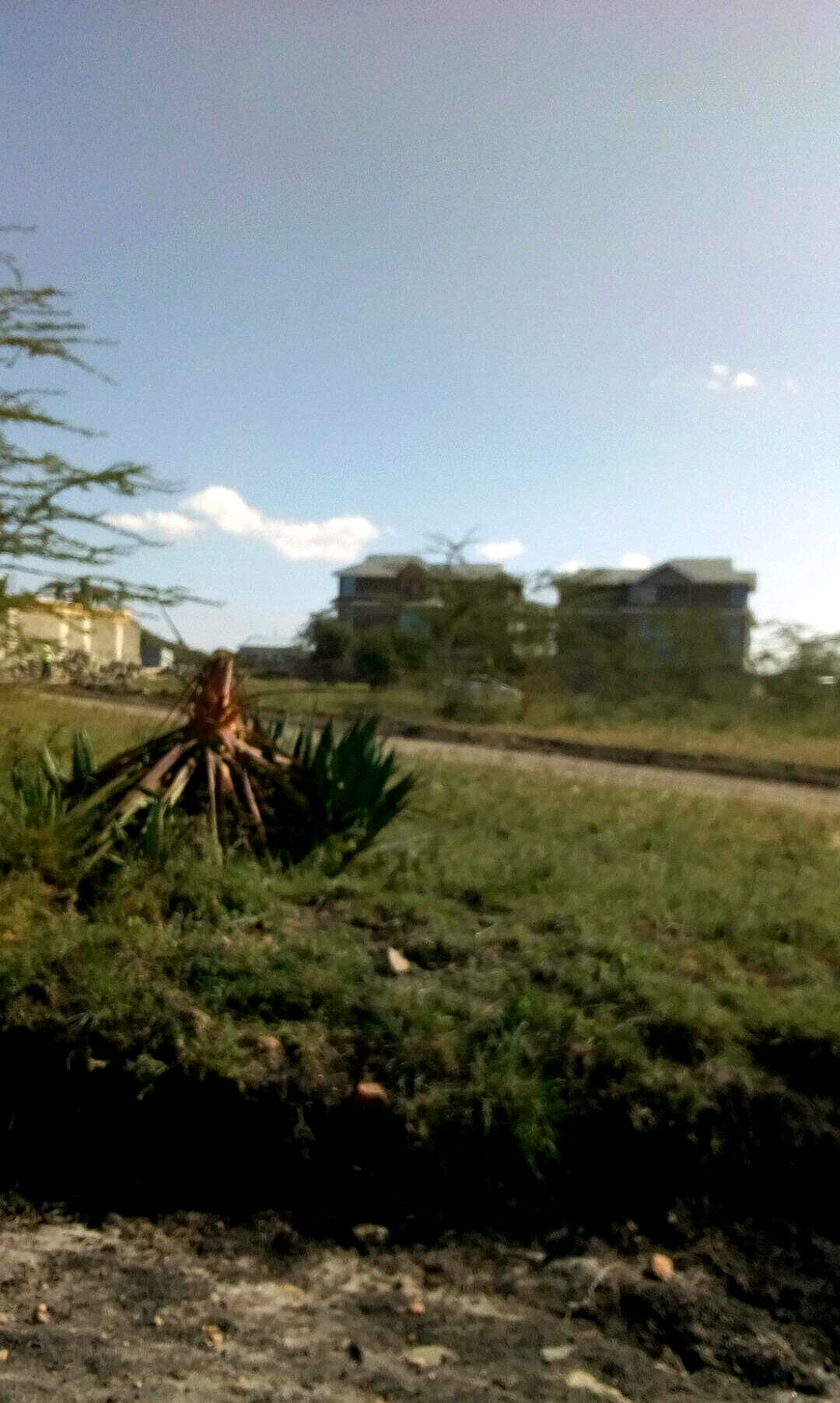 50x100 Plot with Garden for KSh 4.5M
