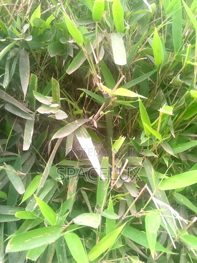 1bdrm Apartment in Kilimani for sale - Image 2