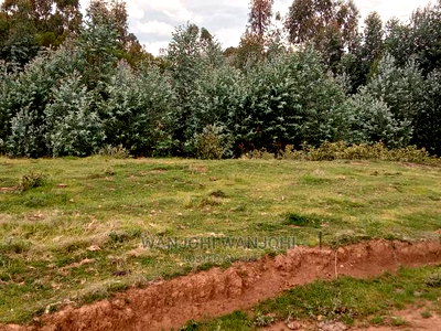 Top-Tier Plots in Nyandarua County - Image 2