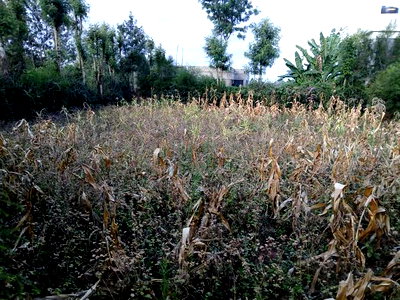 Lemiso Road, Ngong Eighth Plot for Sale - Image 2