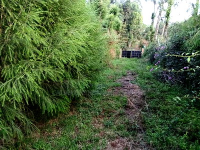 Lemiso Road, Ngong Eighth Plot for Sale - Image 3