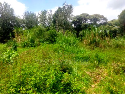 1 Acre Karen - Image 2